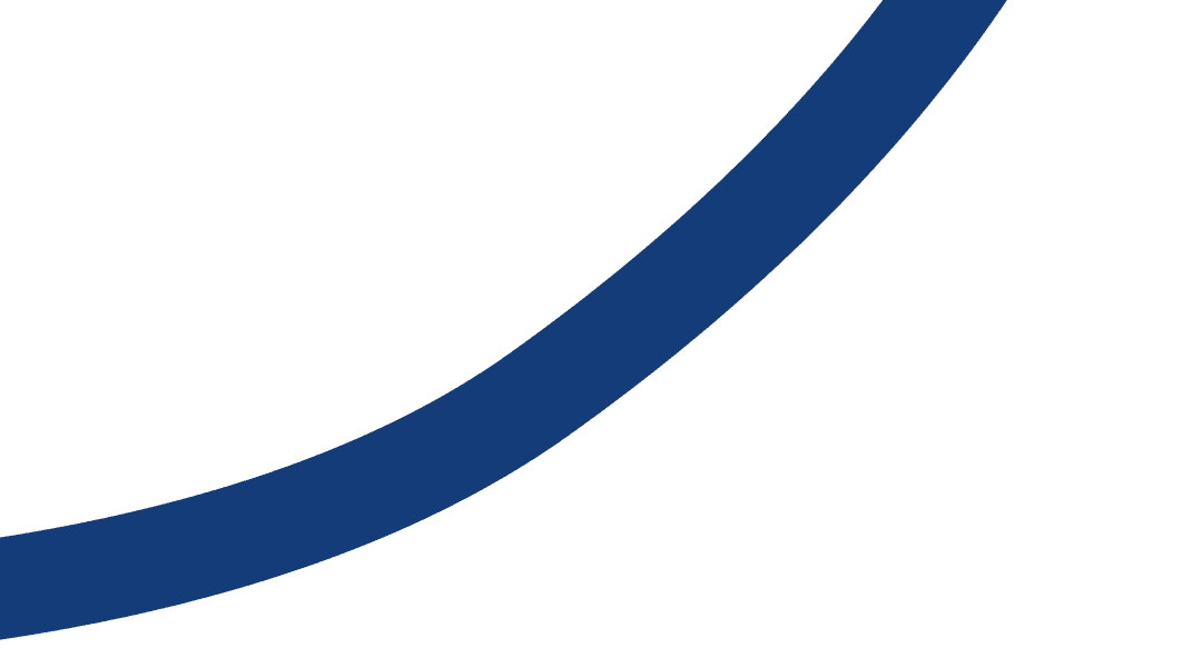 Vector Ornament 1